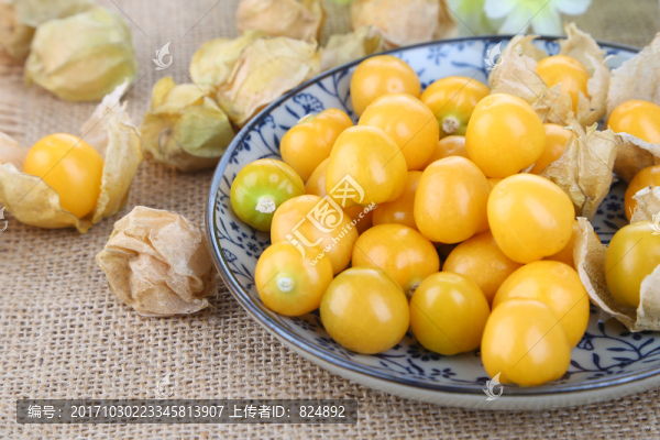 菇娘果,燈籠果