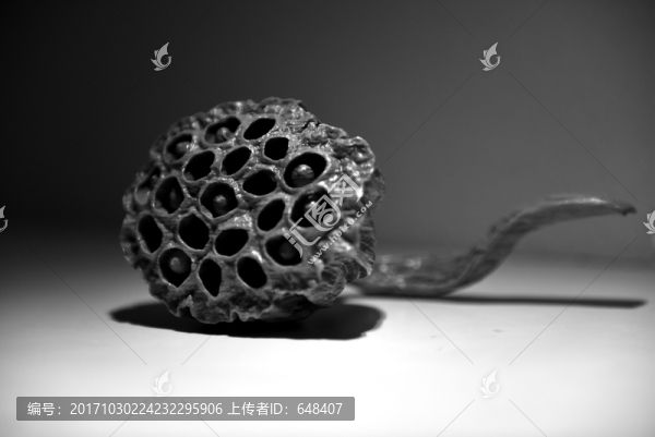 蓮蓬,雕件,雕像,雕塑,福建