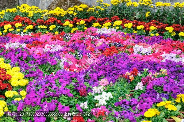 春節(jié)花壇