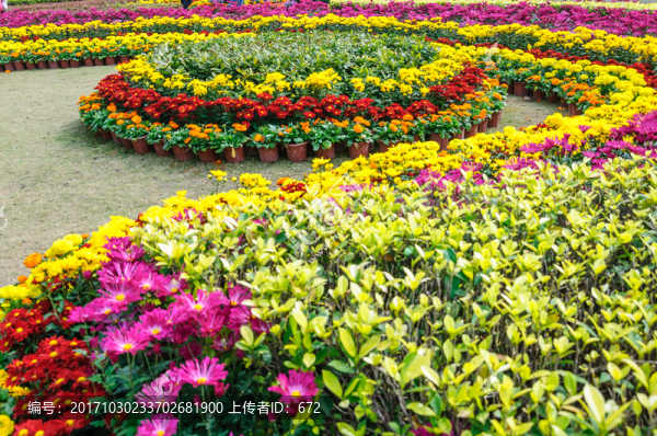 新春花壇