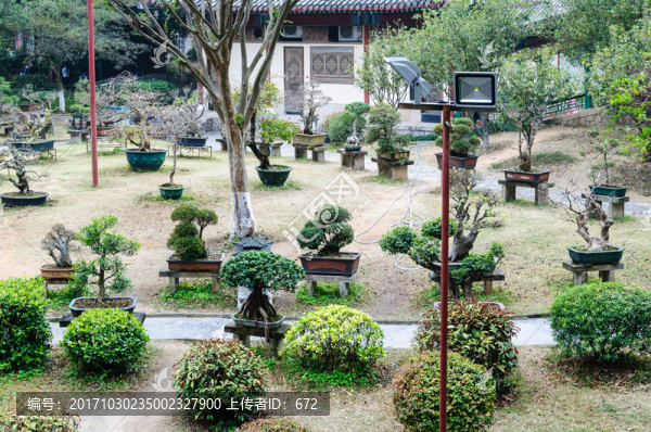 盆景園