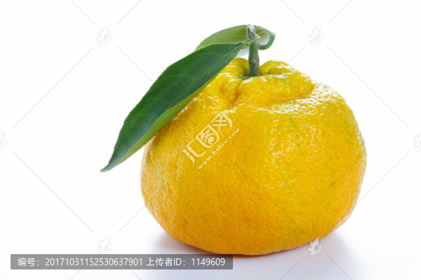 耙耙柑高清