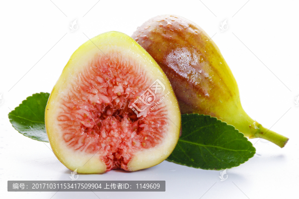 無花果白底