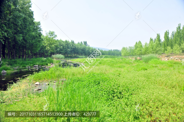 小河道