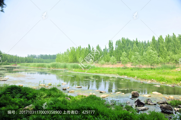 小河流水,清澈小河水