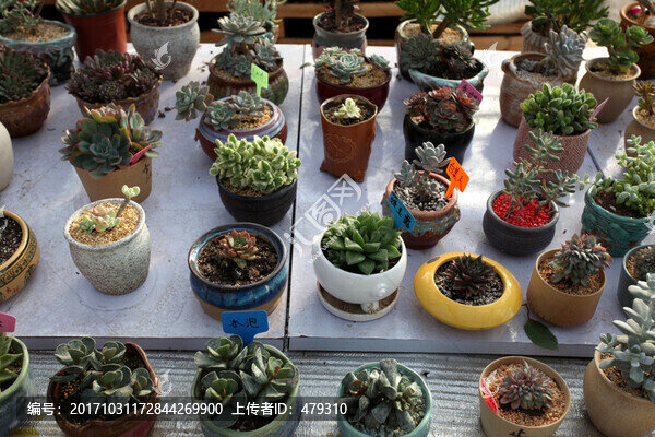擺件,花盆