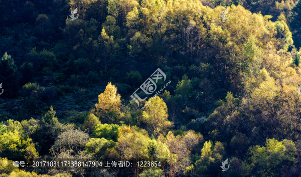 四姑娘山長(zhǎng)坪溝風(fēng)光