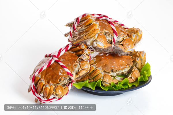 大閘蟹高清白底