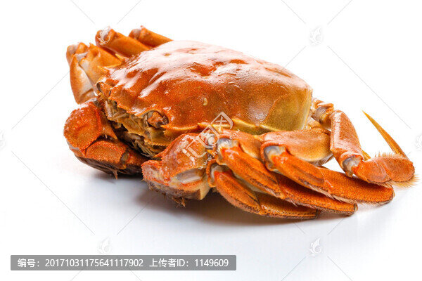 大閘蟹