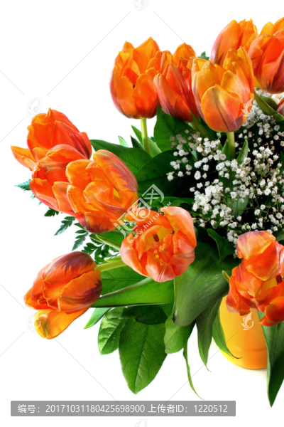 tulpenstrau