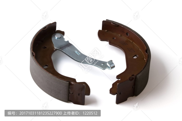 體育