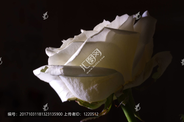宏觀上