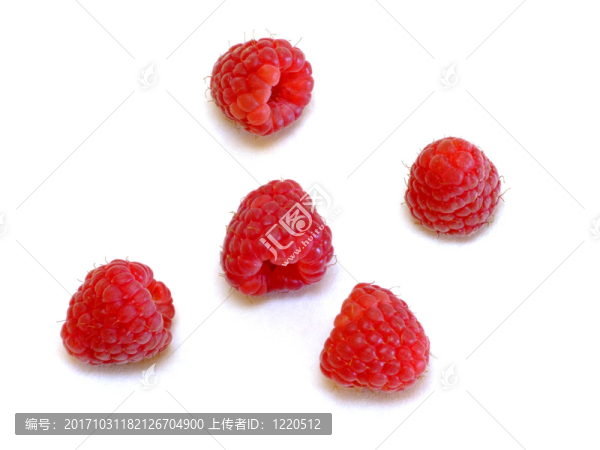 覆盆子（Rubus,idaeus）