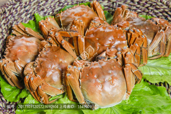 大閘蟹