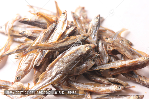 湖南的火培魚