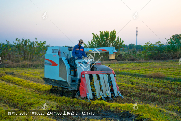 水稻收割機,久保田