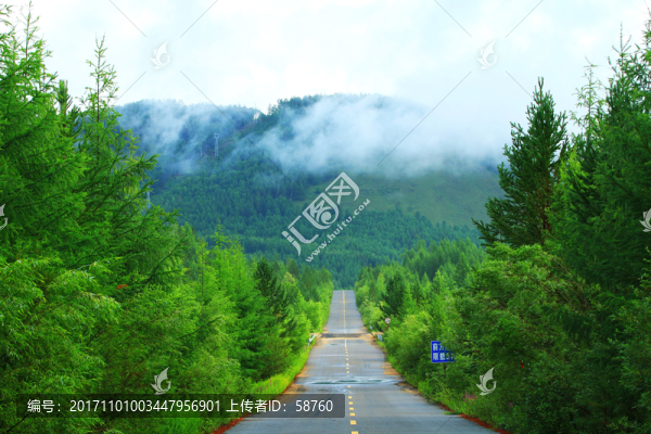 綠色林海山路
