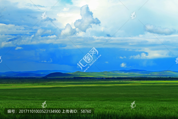 綠色的麥田風(fēng)景