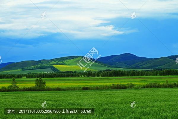 農(nóng)田風(fēng)景