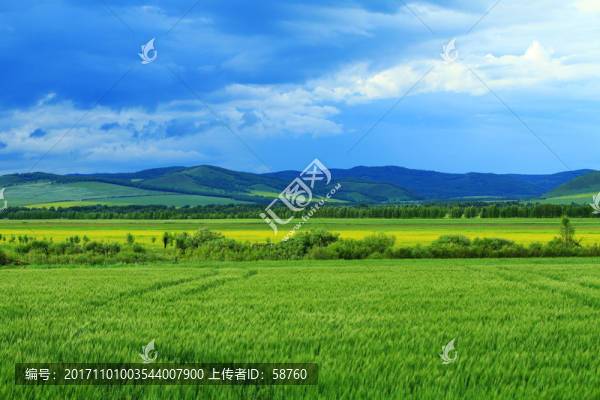 山區(qū)農(nóng)田