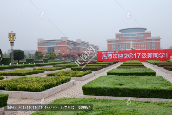 西北農(nóng)林科技大學(xué),西北農(nóng)林大學(xué)