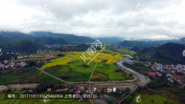 雨后丁香田野