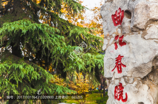 風(fēng)光