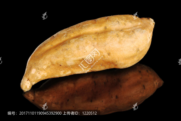 食品