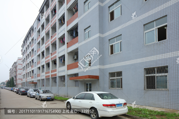 西北農(nóng)林科技大學(xué),西北農(nóng)林大學(xué)