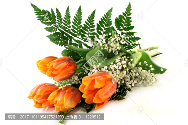 tulpenstrau