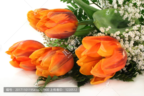 tulpenstrau
