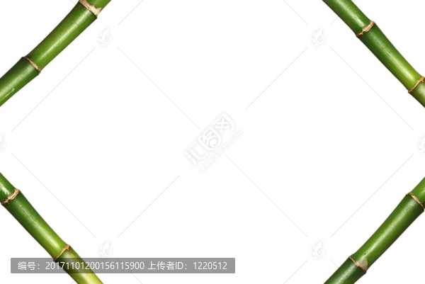 竹