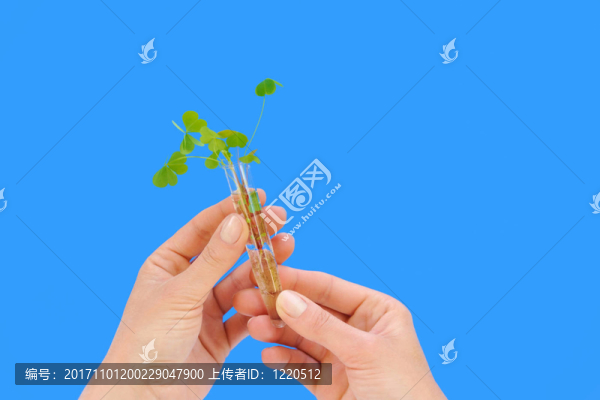 手