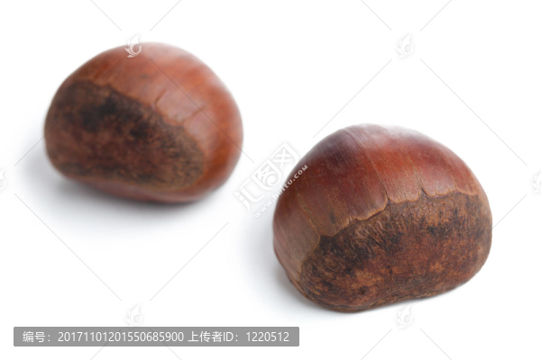 食品