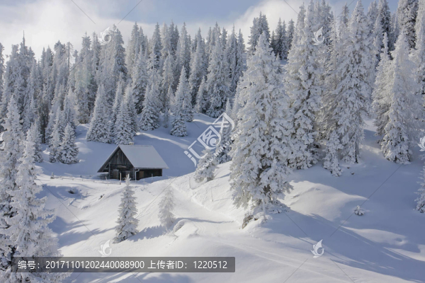 雪中小屋