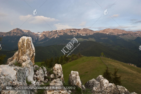 山