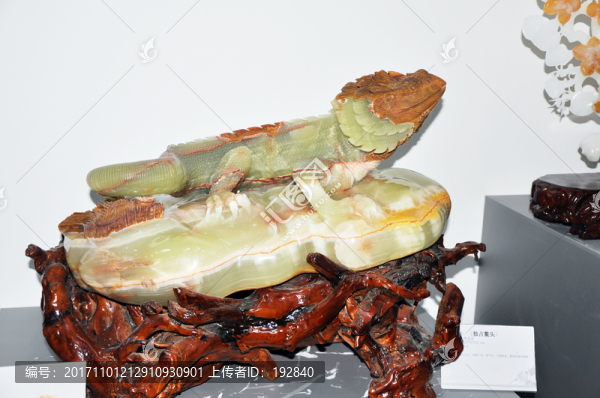壁虎