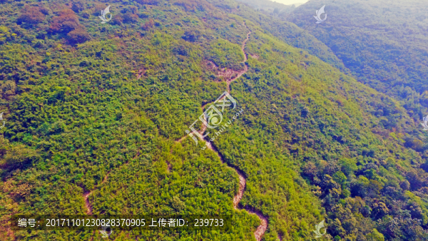 和龍山九石階