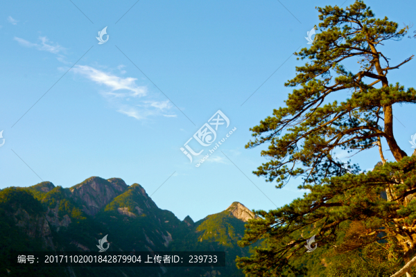 藍(lán)天白云