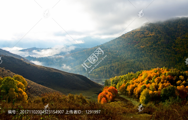 禾木風光