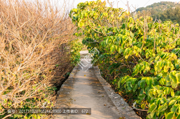 東澳島景觀