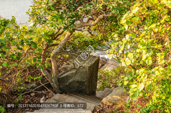 東澳島山道
