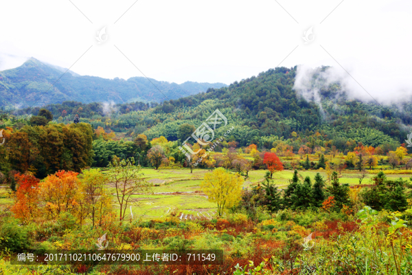 塔川