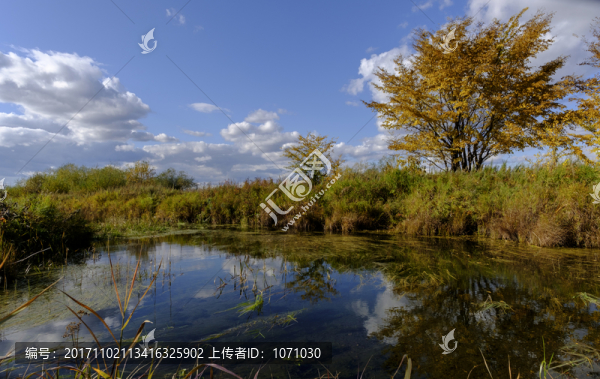 秋景