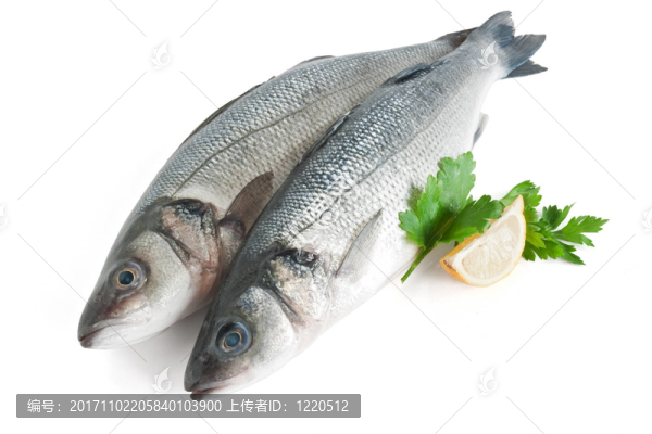 食品