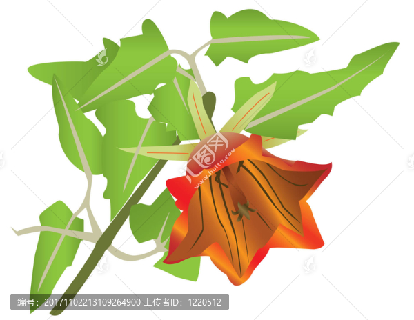 花卉