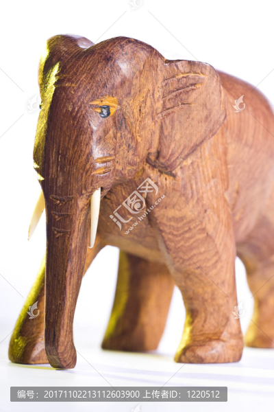 動物