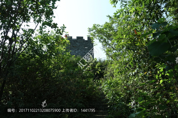 登山路