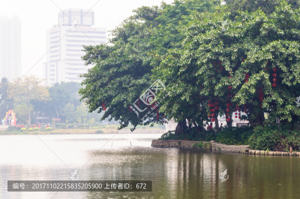 廣州荔灣湖公園景觀