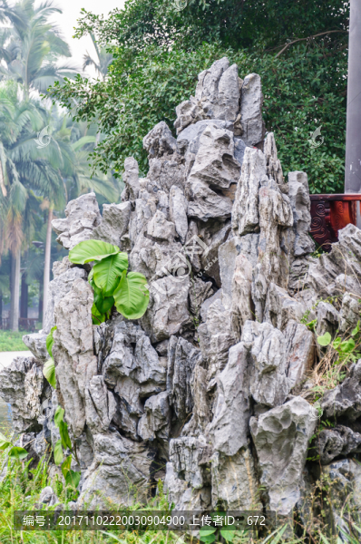 廣州荔灣湖公園景觀